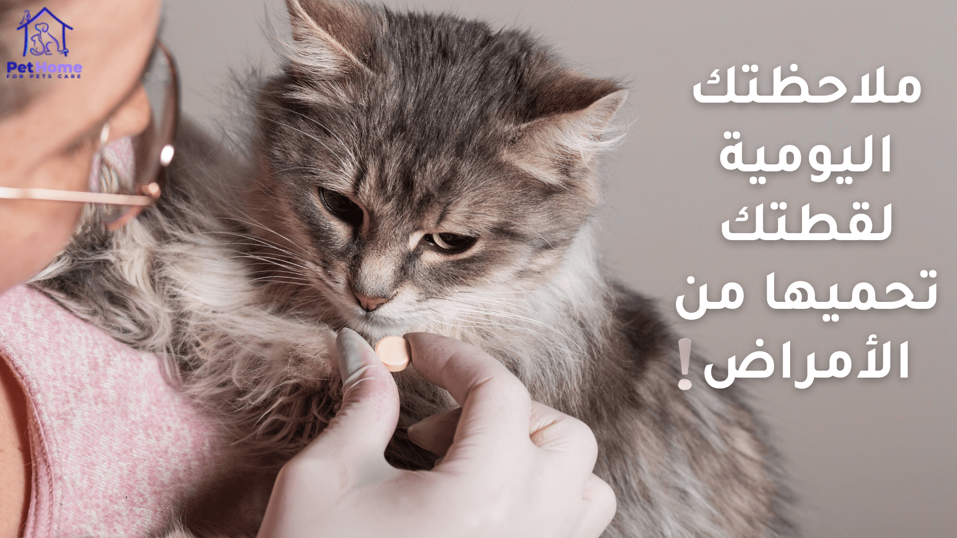 قطة تتلقى العلاج للوقاية من أمراض القطط