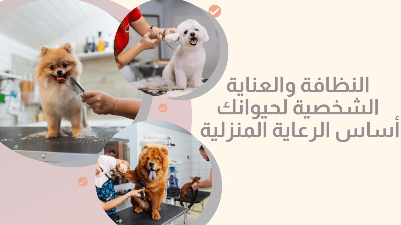 حيوانات أليفة متنوعة أثناء تنظيفها وقص أظافرها مثال على الرعاية بالحيوانات الأليفة في المنزل.