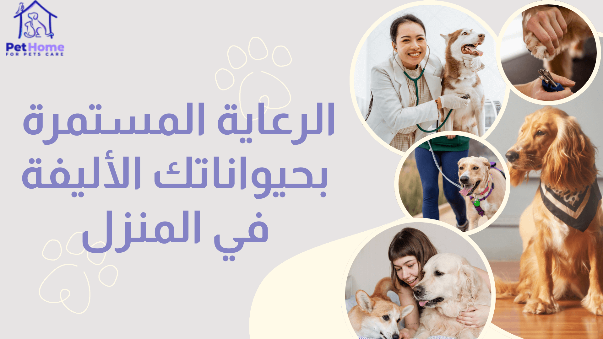 مشاهد مختلفة للعناية بالكلاب بالبيت: زيارة الطبيب - تقليم الأظافر -اللعب والرعاية اليومية 